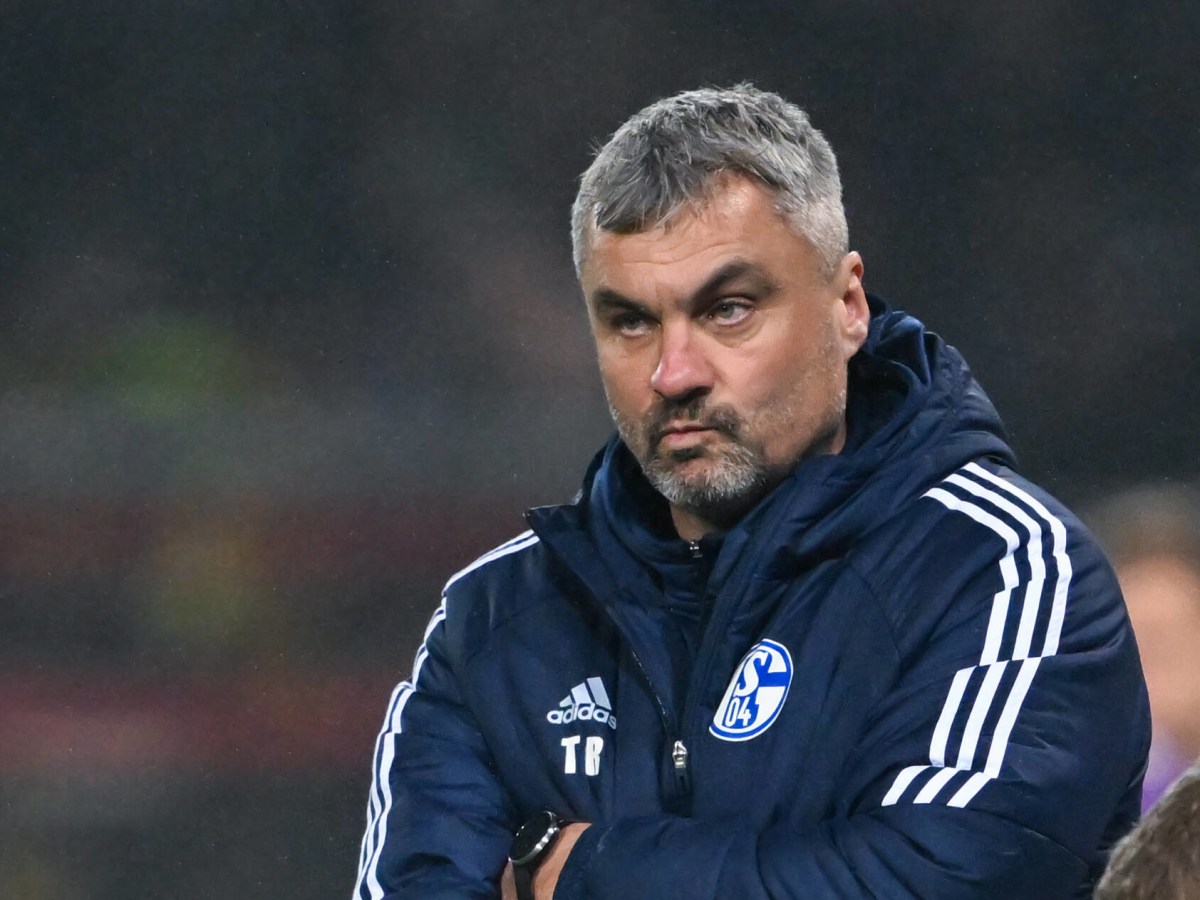 Schalke-Trainer Thomas Reis schaut missmutig.