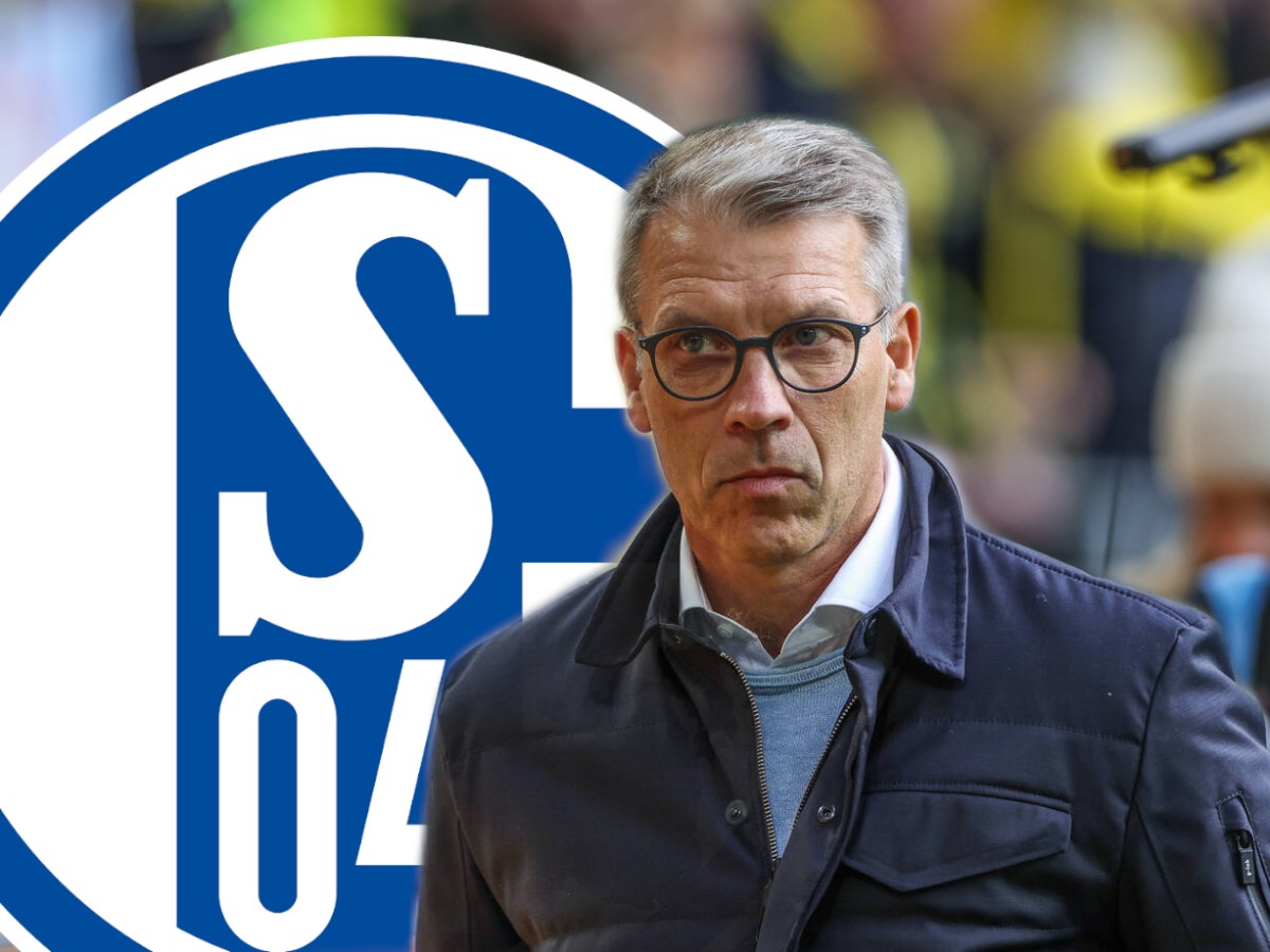 Peter Knäbel schaut auf das Wappen des FC Schalke 04.