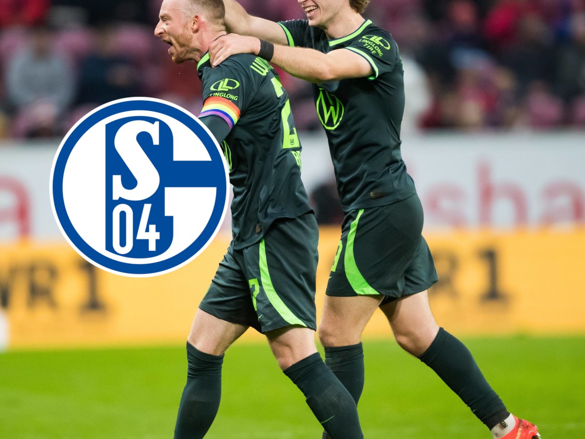 FC Schalke 04 VfL Wolfsburg