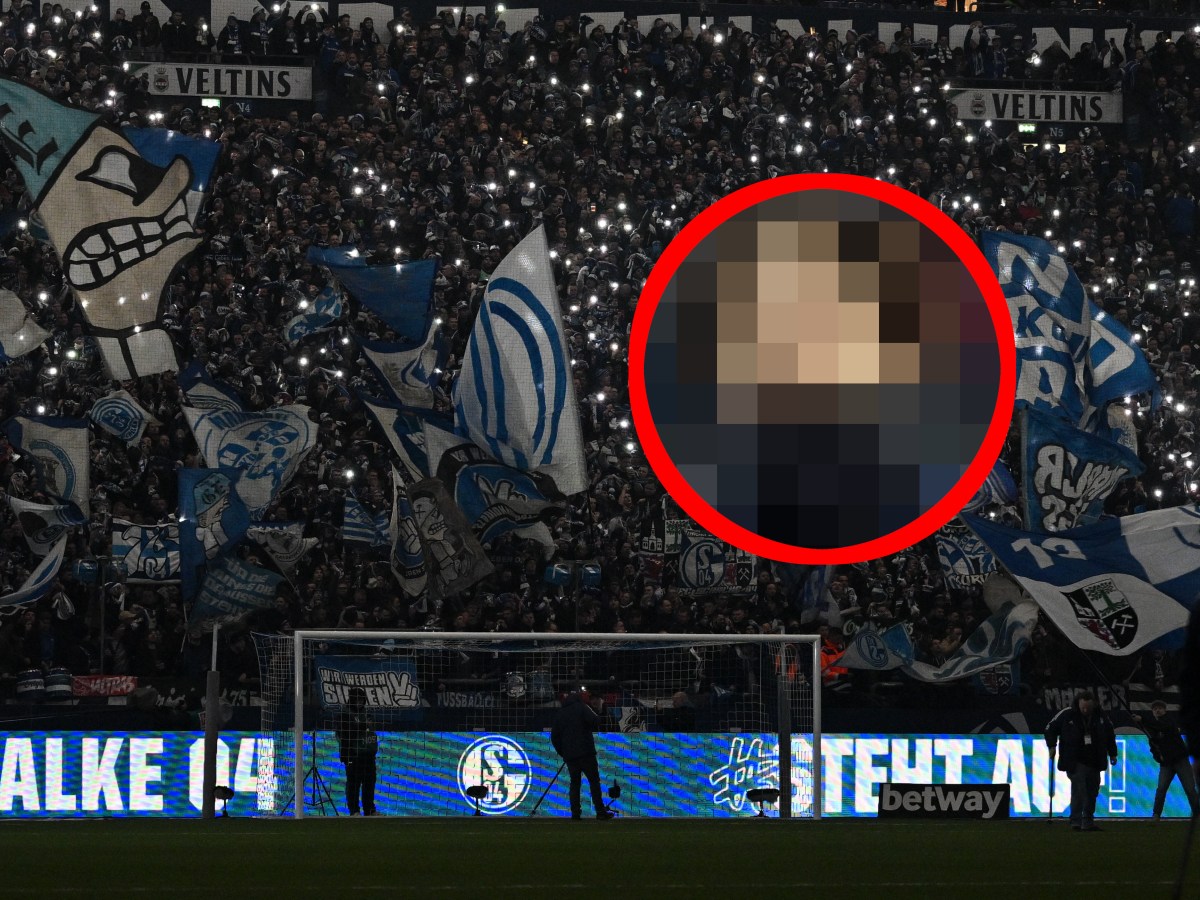 FC Schalke 04 VfL Wolfsburg