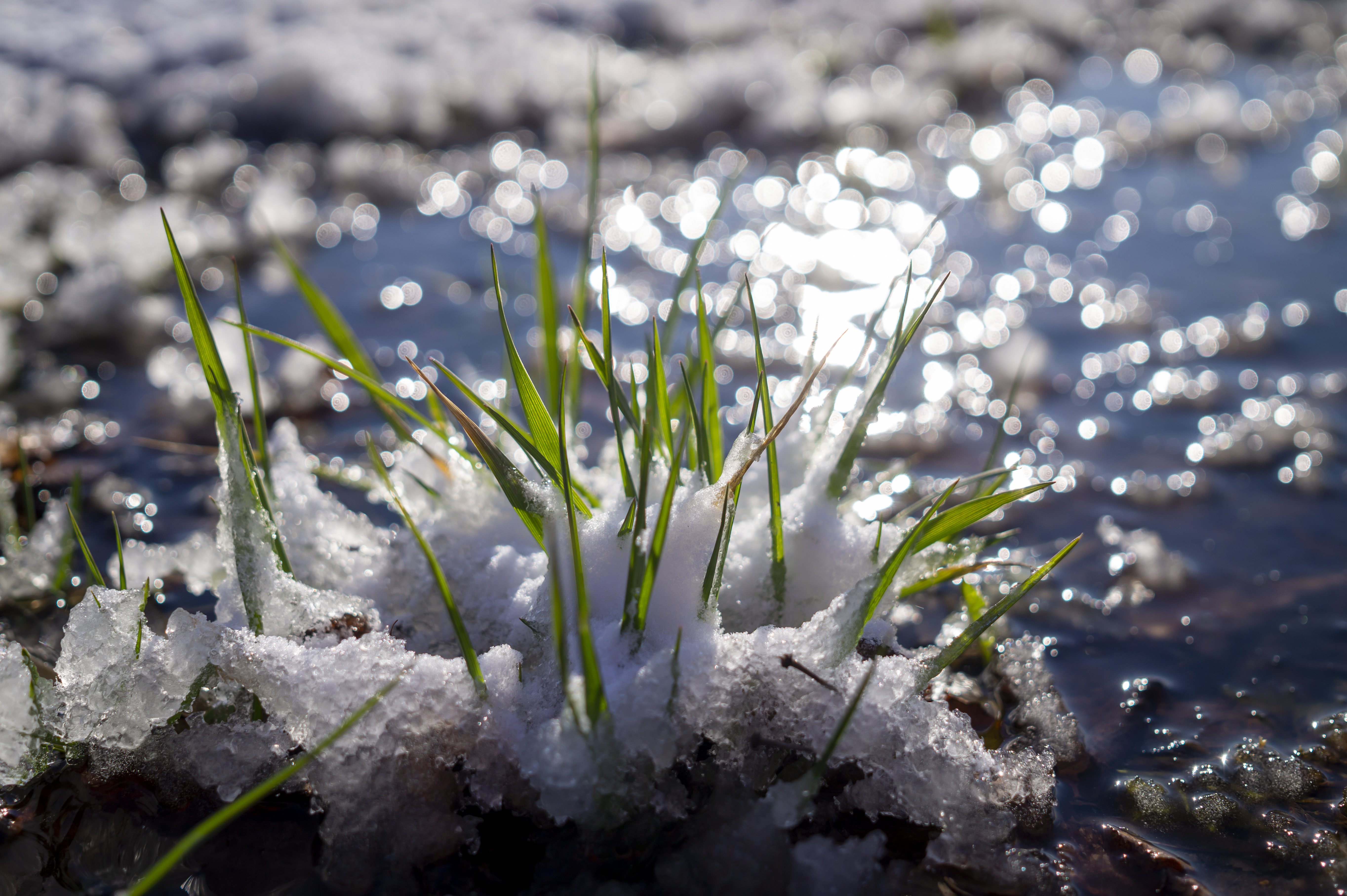 Wetter In NRW: Experte Mit überraschender Prognose – "Chancen Stehen ...