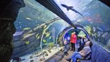 Oberhausen Sea Life