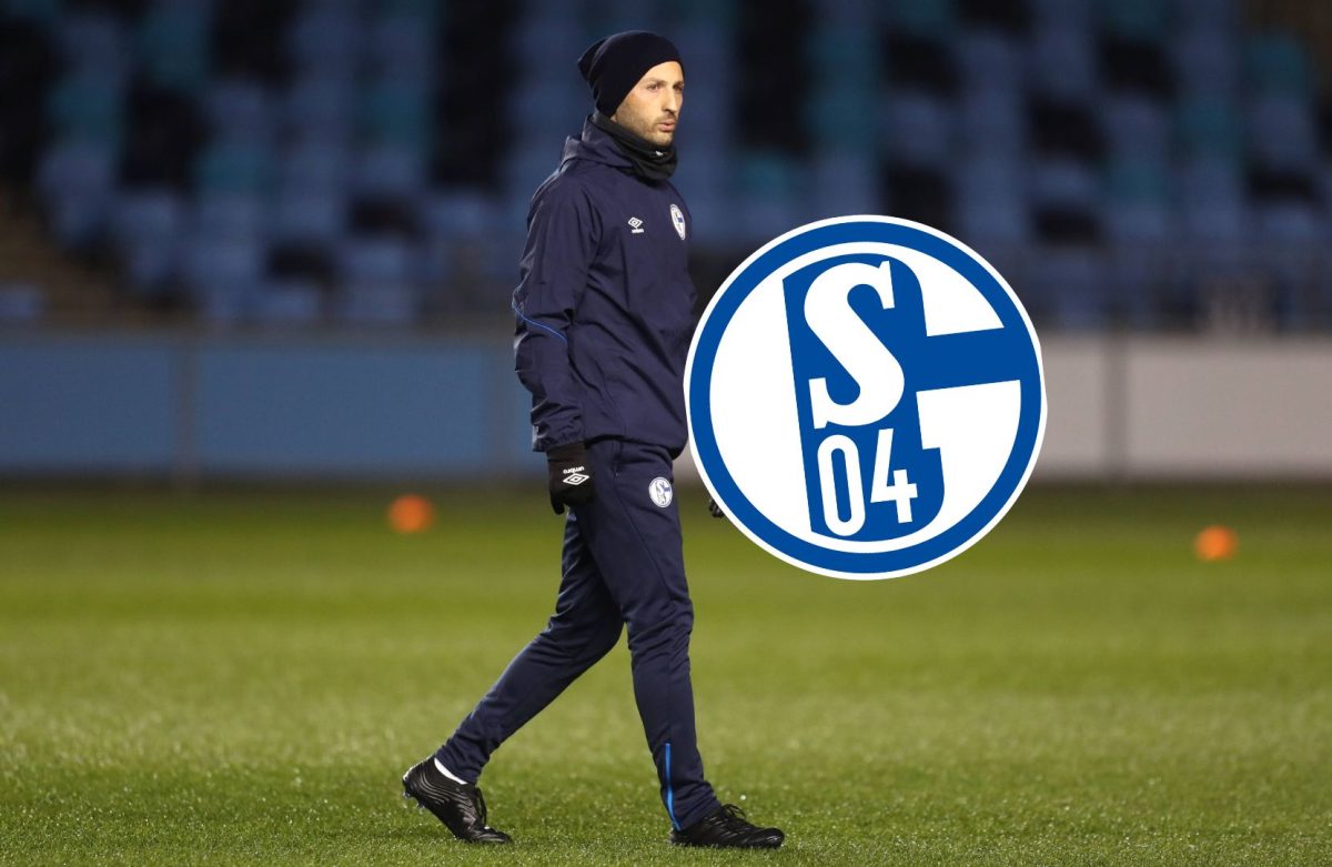 FC Schalke 04: Ex-Coach schwärmt vom S04 – „Für mich etwas Besonderes“