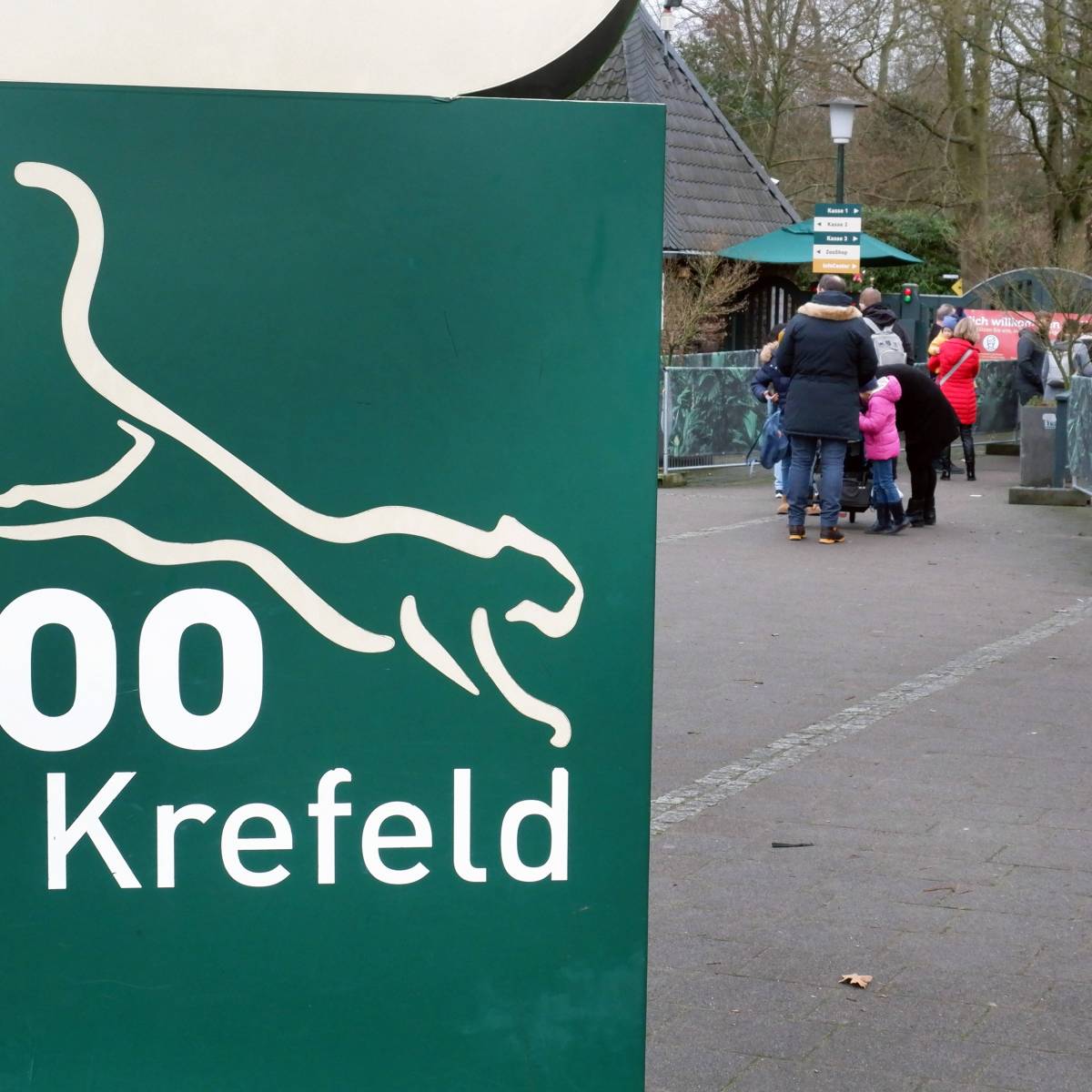 Zoo Krefeld: Totes Tierbaby im Tropenhaus entdeckt – Pfleger können es nicht glauben