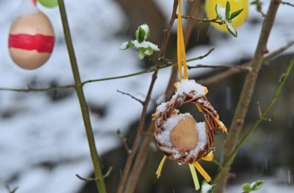 Wetter in NRW Schnee Osterdeko an Strauch