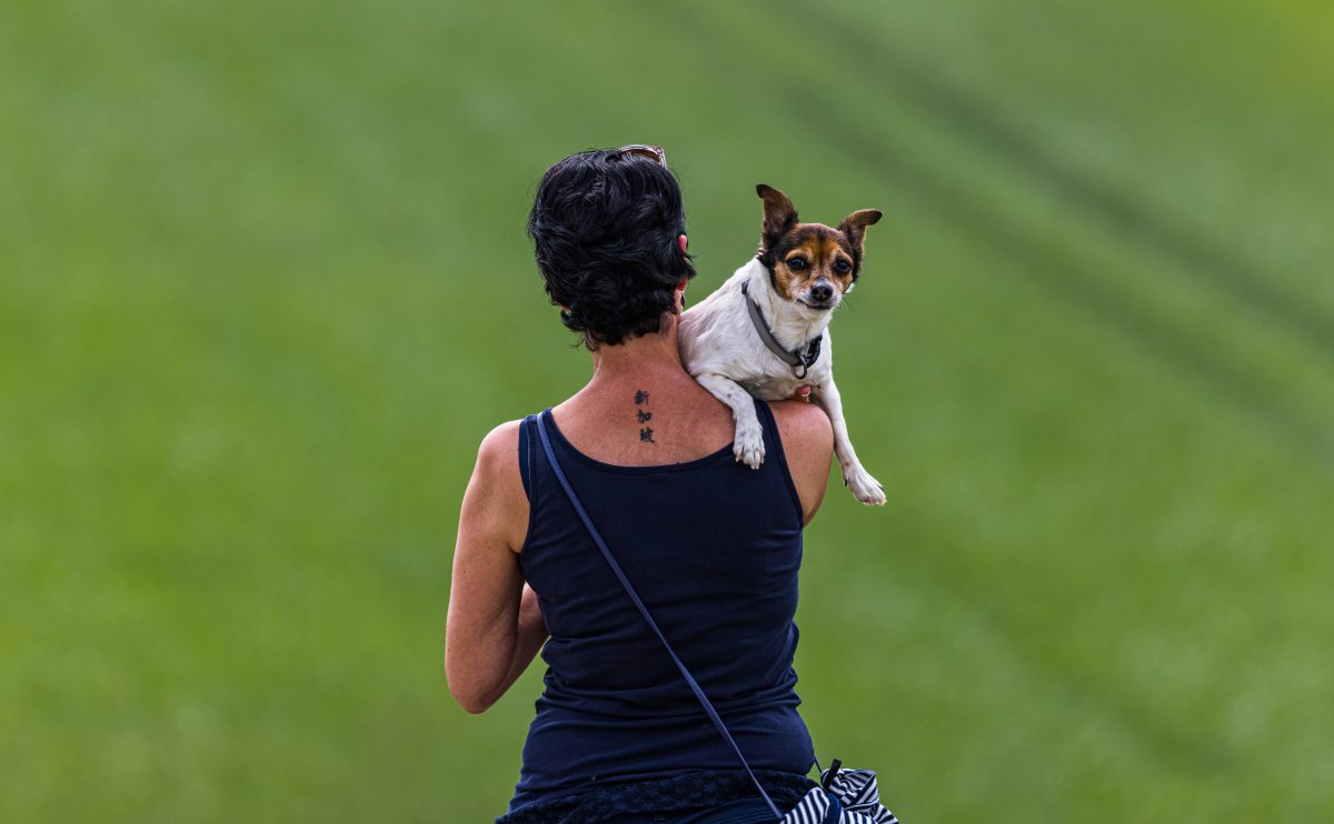 Hund Frau Geht Mit Vierbeiner Gassi Und Tut Etwas Grausames Derwestende 