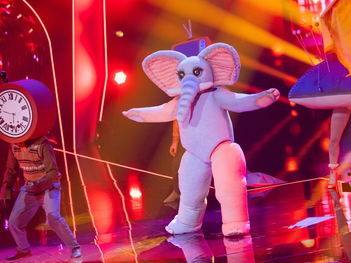 Der Frotteefant bei „The Masked Singer“: Also doch! SIE steckt unter der Maske