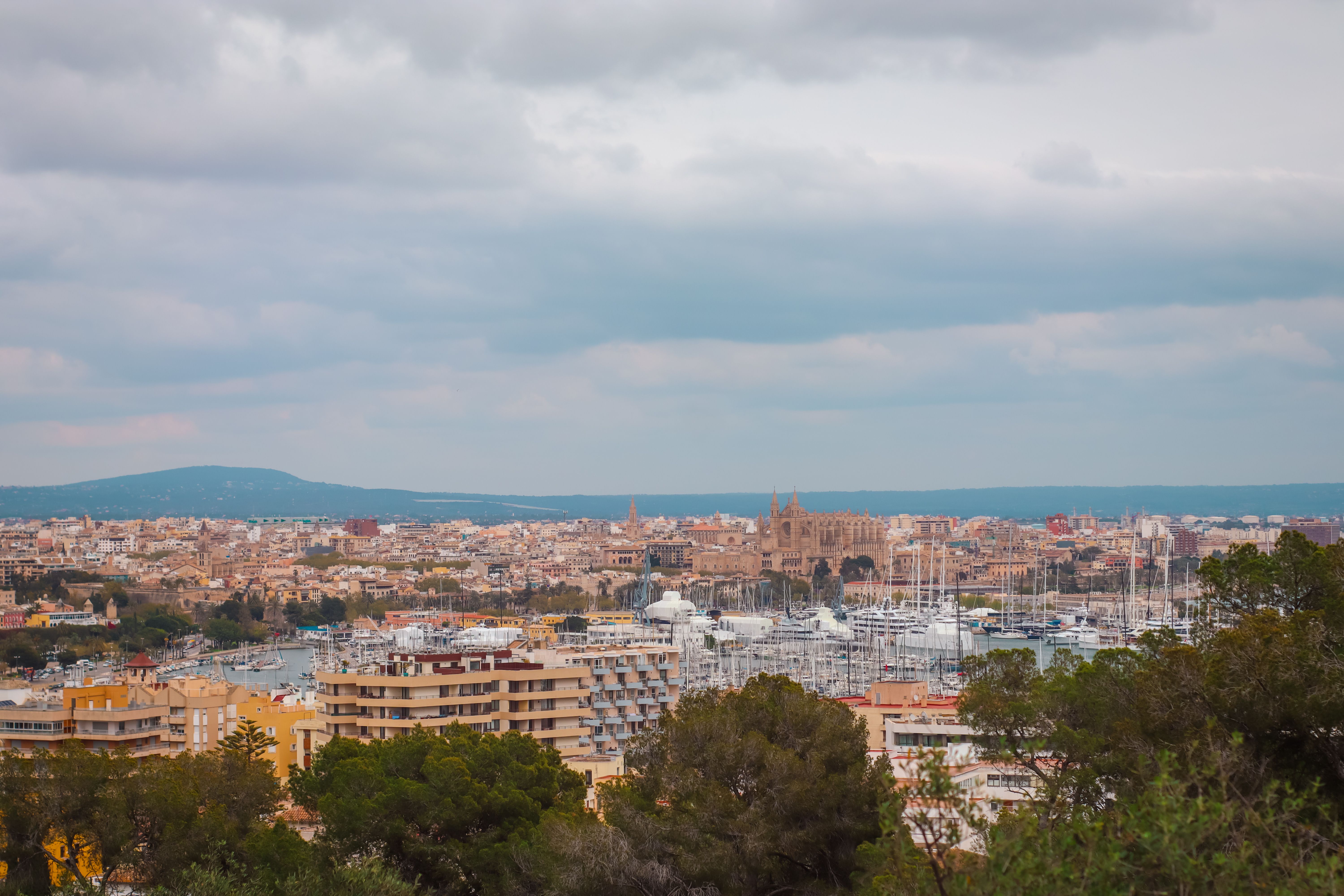 Urlaub Auf Mallorca: Touristen Mit Dreister Aktion - Anwohner Sauer ...