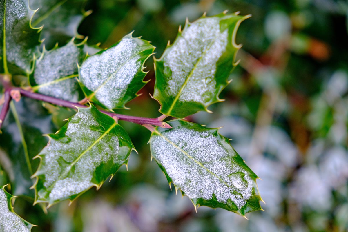 Wetter in NRW