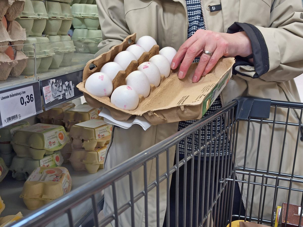 Lidl-Kunden kaufen Eier – als sie genauer hinsehen, können sie nur mit dem Kopf schütteln
