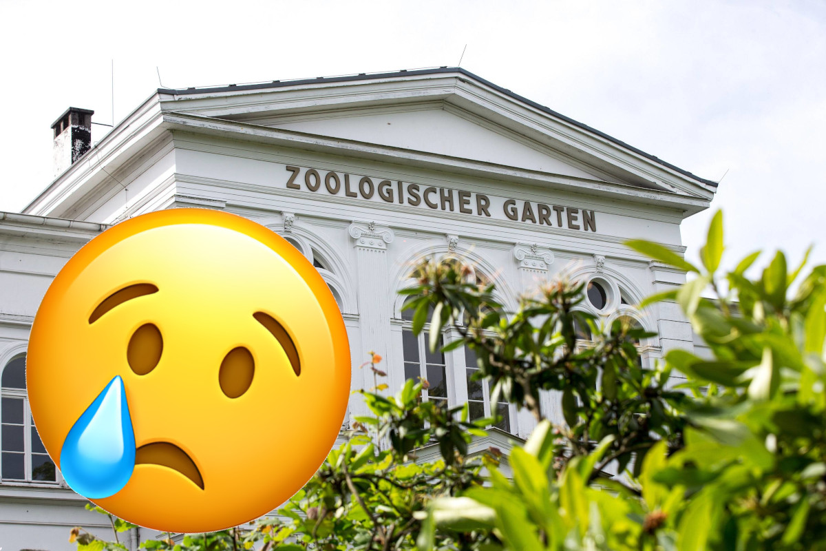 Zoo Wuppertal mit trauriger Nachricht: Tränenreicher Abschied von Besucherliebling