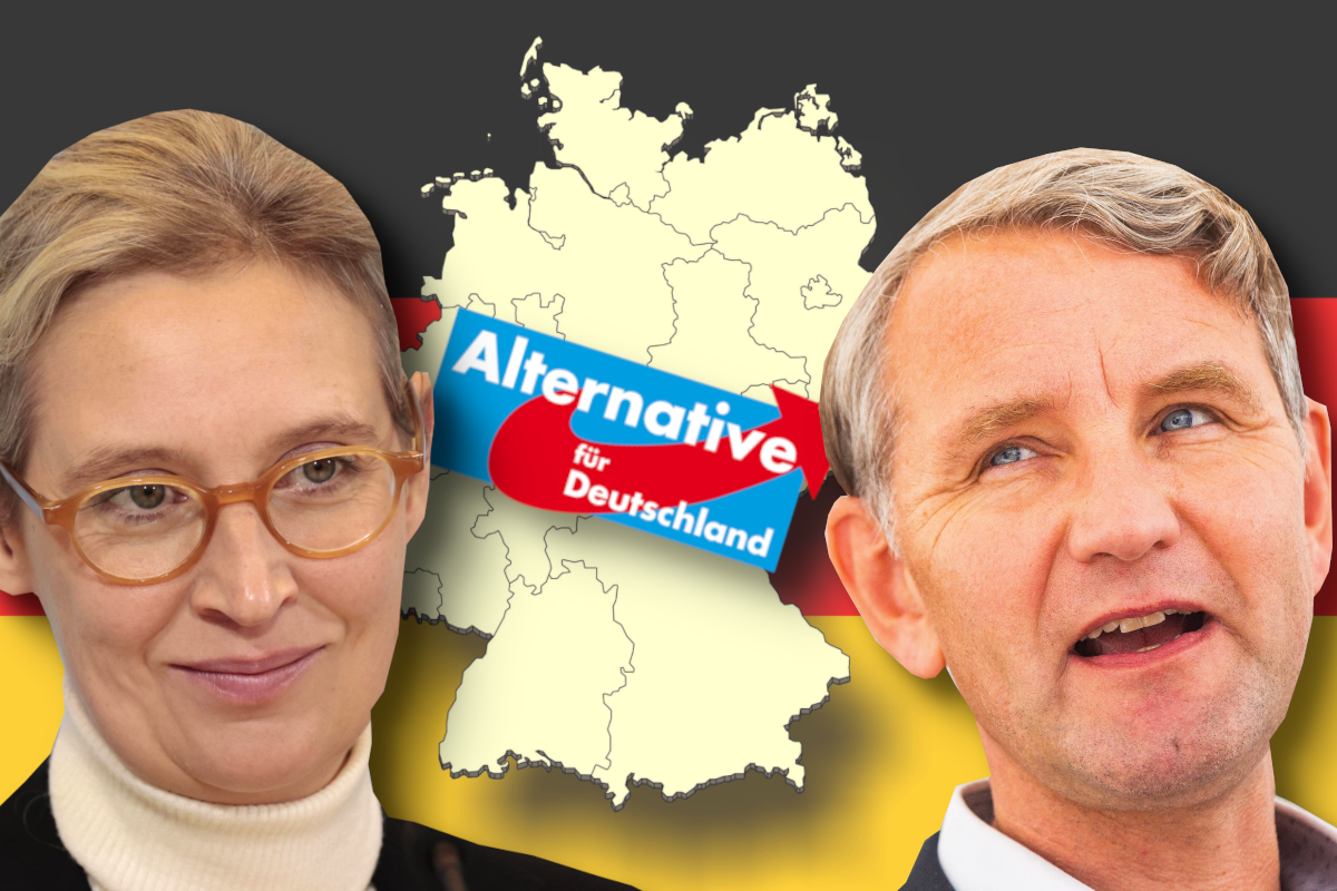 Die AfD immer stärker in Umfragen.