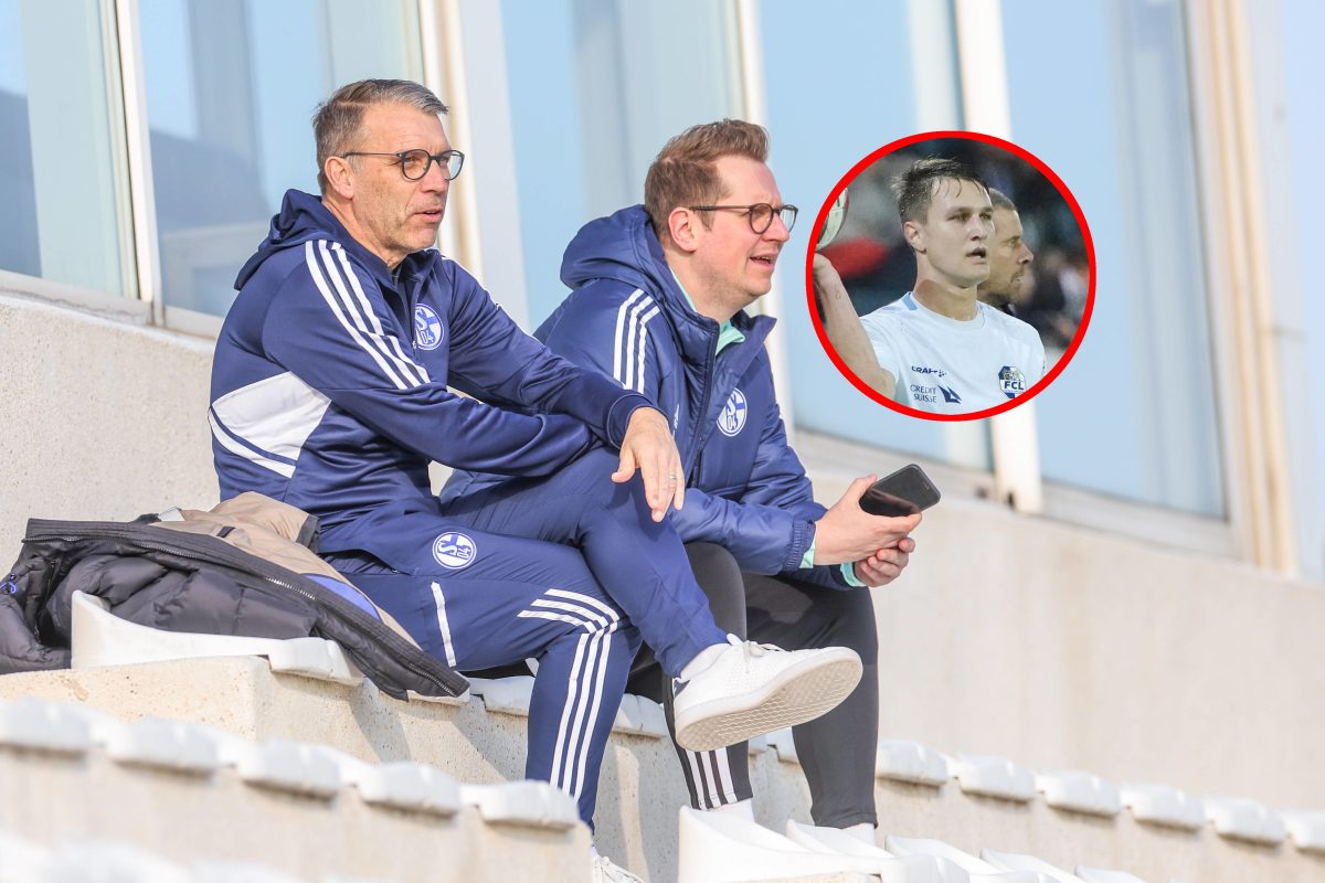 Fans von FC Schalke 04 haben einen Spieler ins Auge gefasst.