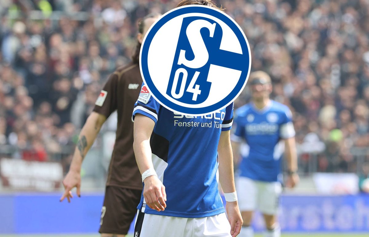 FC Schalke 04: Nach Abstieg - Bedient Sich S04 Jetzt Bei Den ...