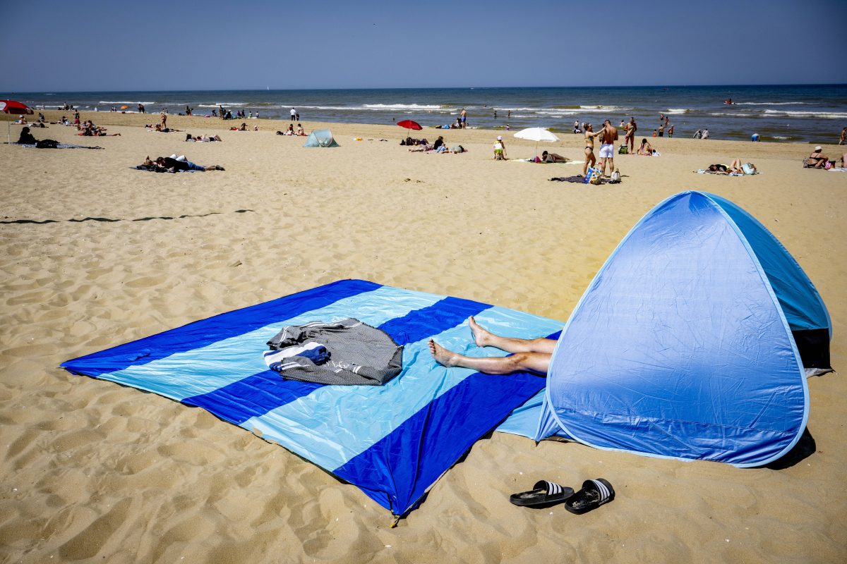 Urlaub in den Niederlanden: Fiese Plage an den Nordsee-Stränden.