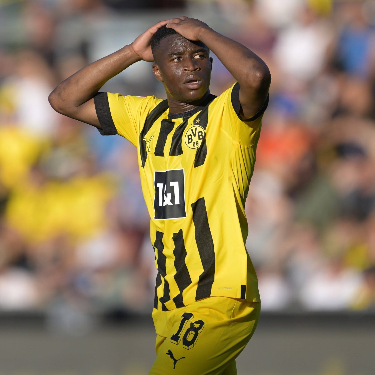 Borussia Dortmund – Transfer-News und Gerüchte: Aufruhr um Moukoko – steht ein Abgang bevor?