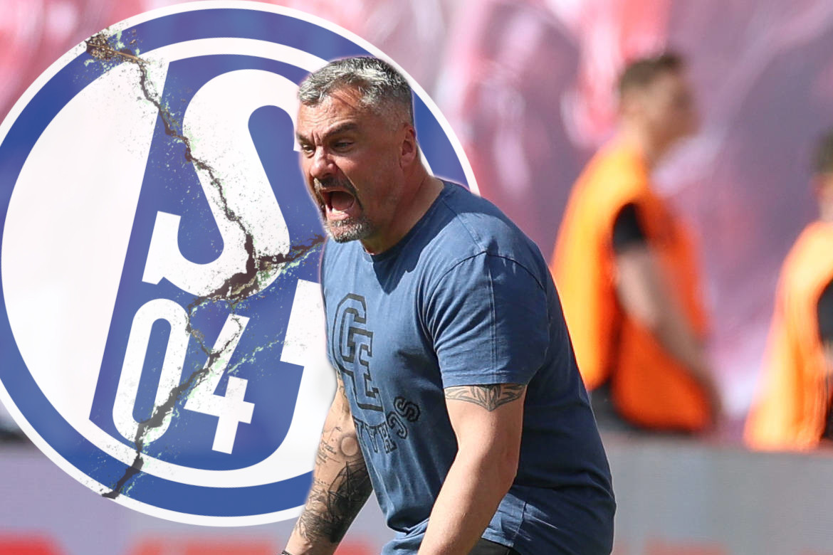 FC Schalke 04: Reis Spricht Die Traurige Wahrheit Aus – S04 Droht ...