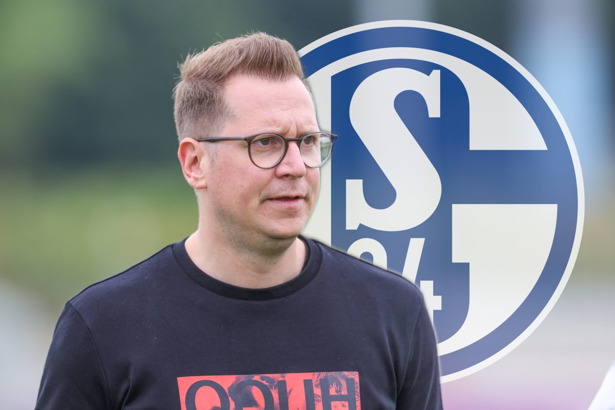 FC Schalke 04: Europa Jagt Mittelfeld-Juwel - Setzt Sich S04 Durch ...