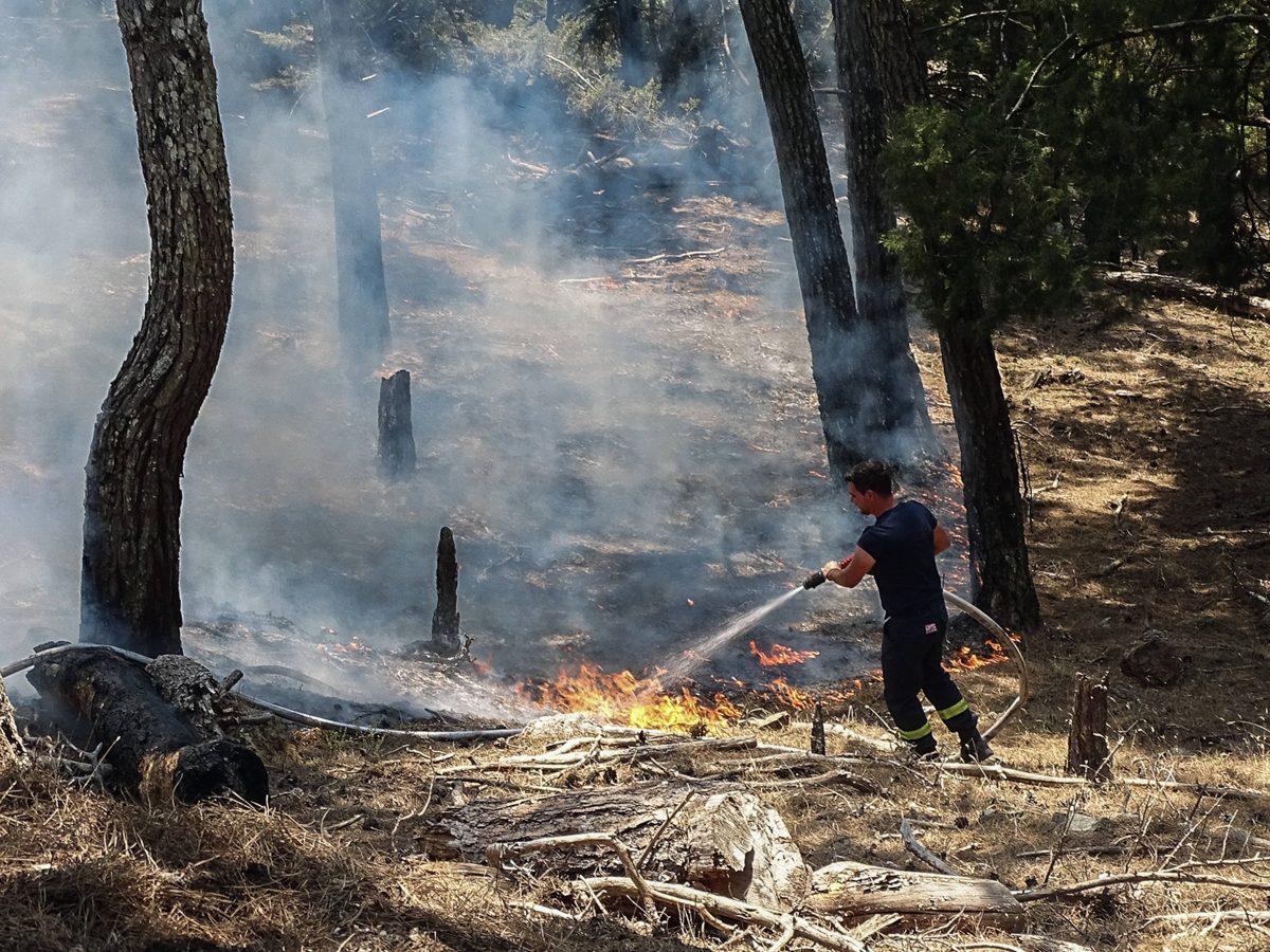 Auch ein Urlauber-Paar aus NRW ist von den WaldbrÃ¤nden auf Rhodos betroffen. Sie schildern die 