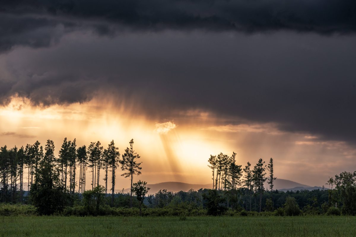 Wetter in NRW: Meteorologe sagt vorlÃ¤ufiges Ende vom diesjÃ¤hrigen Sommer voraus. In den nÃ¤chsten Tagen Regen.