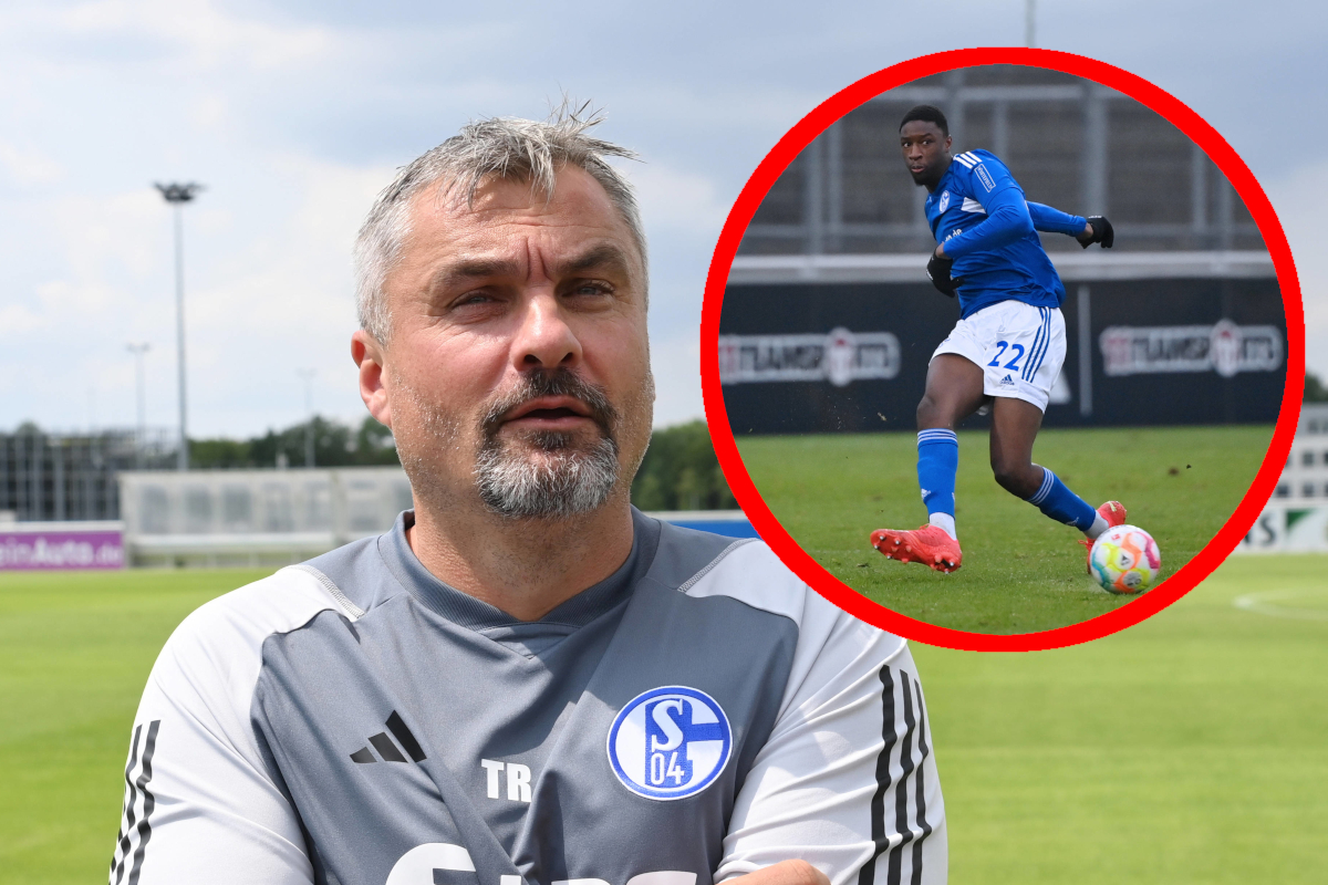 FC Schalke 04: Wechsel-Wende Bei Wunschspieler – Ist DIESER Transfer ...