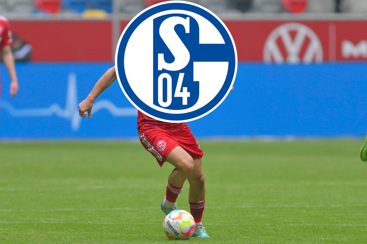 FC Schalke 04: Weiterer Bewerber Um S04-Flirt - Entscheidung Steht ...