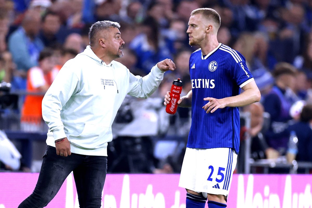 Beim FC Schalke 04 ist Timo Baumgartl der neue Star.