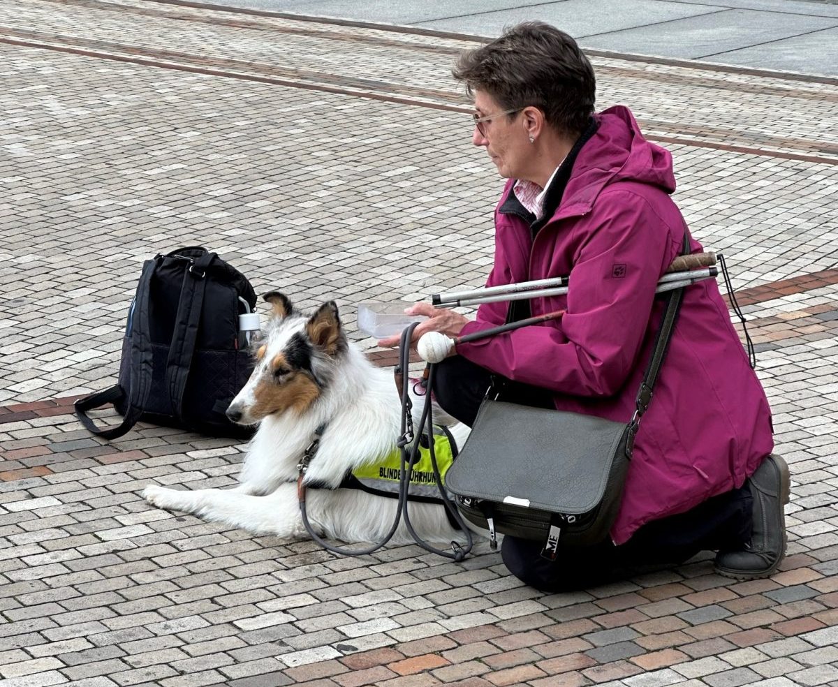 Hund in NRW