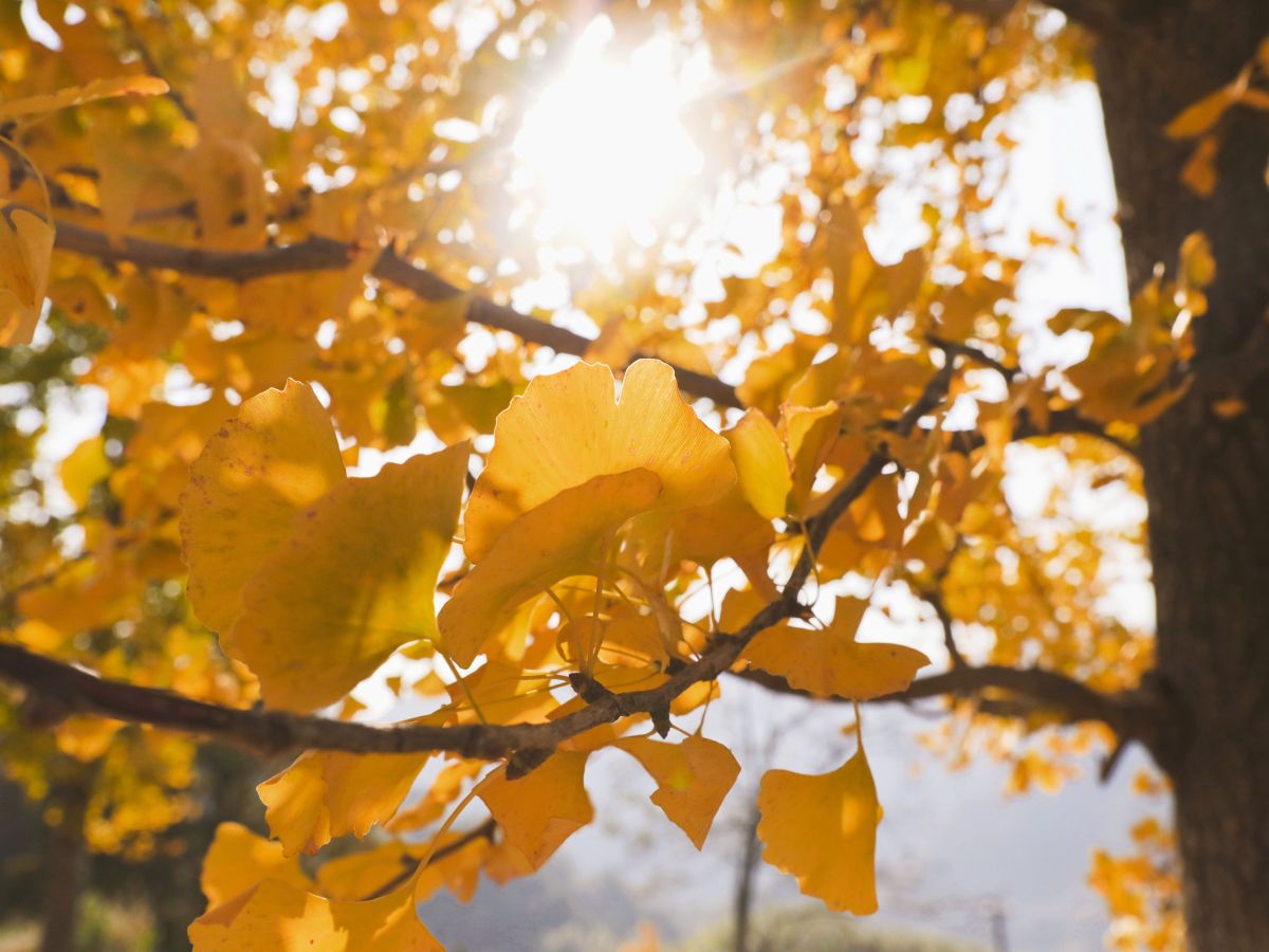 Wetter in NRW: Experte klÃ¤rt auf