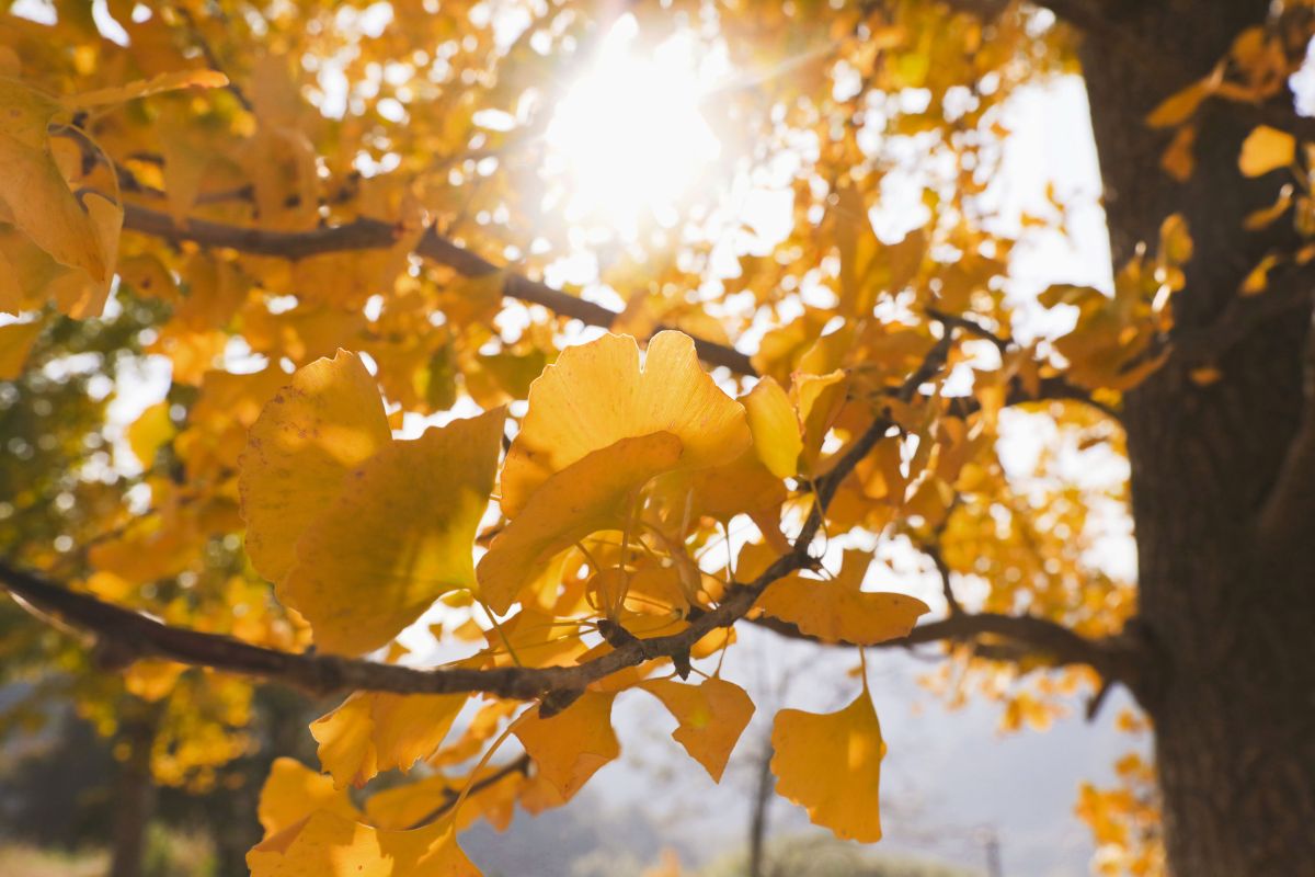 Wetter in NRW: Experte klÃ¤rt auf