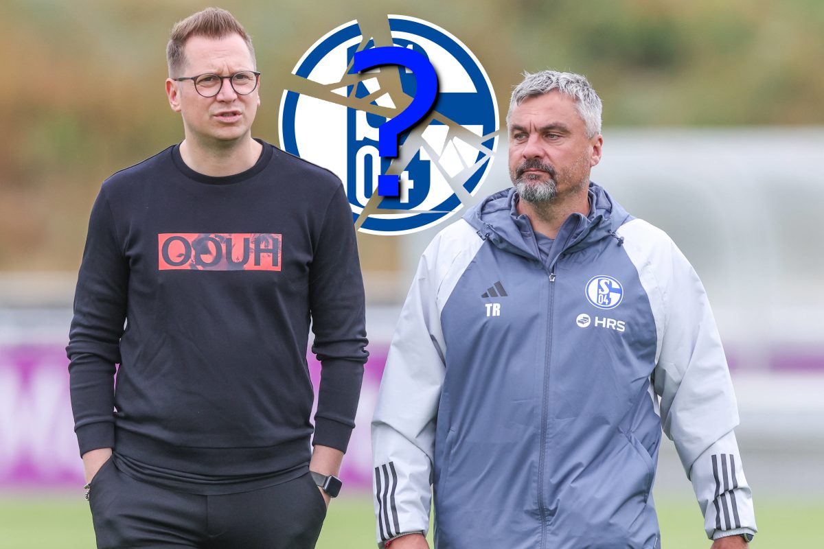 Wie ist der Sommer beim FC Schalke 04 gelaufen?