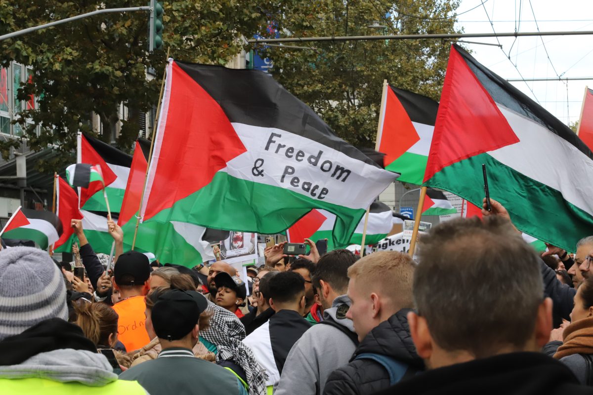 Demonstranten in DÃ¼sseldorf, NRW