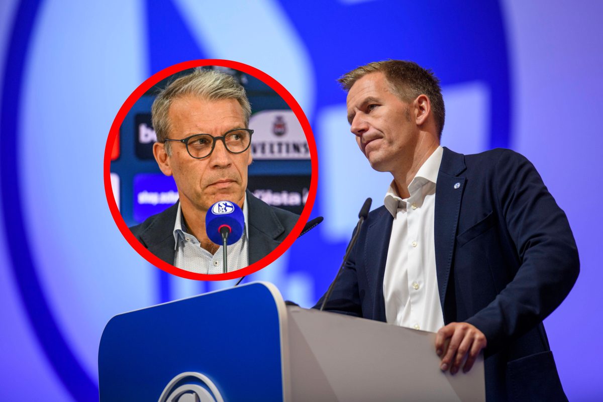 FC Schalke 04 hefer knaebel