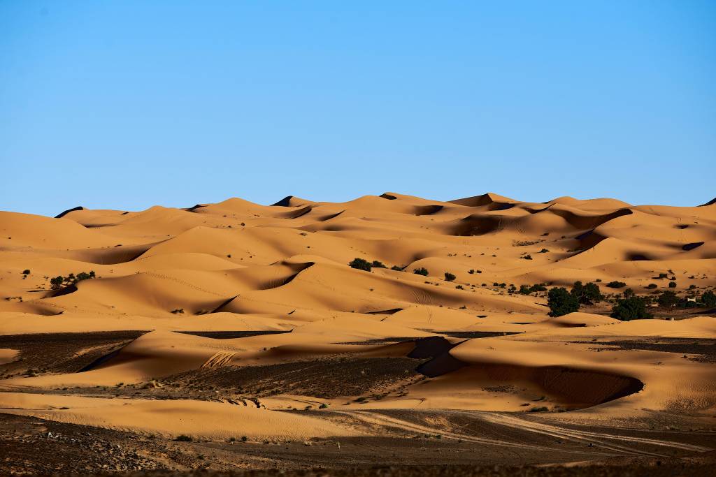 Sanddünen in der Sahara