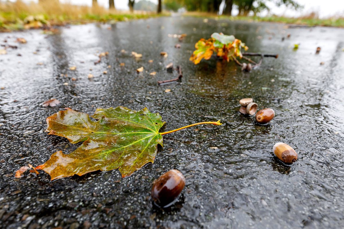 Wetter in NRW: Volle Herbst-Dröhnung – Experte macht wenig Hoffnung