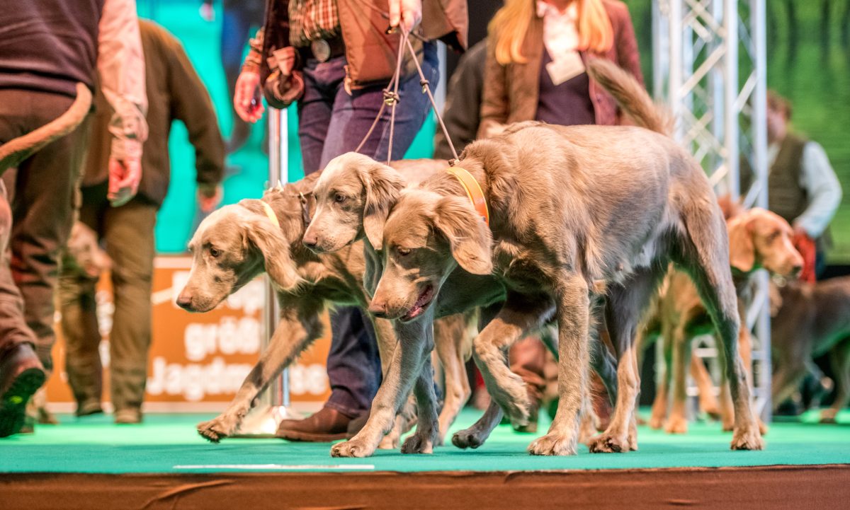 Dortmunder Messe "Jagd und Hund" 2019