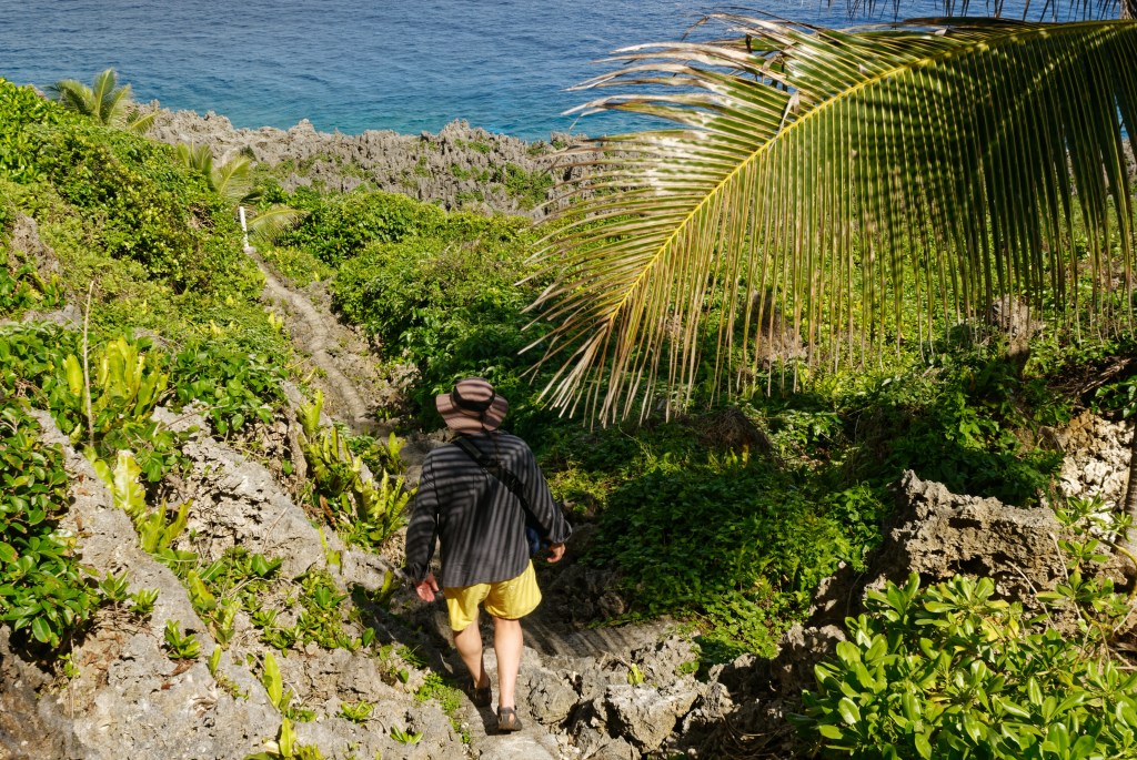 Ein schmaler und steiniger Pfad führt unter einer Kokospalme über eine Schlucht zu dem Ufer des Pazifiks in Niue.