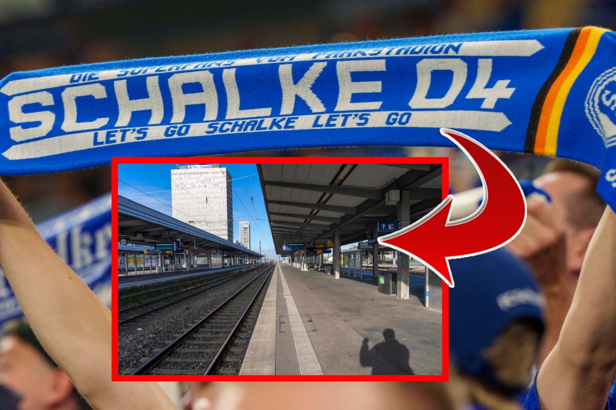 FC Schalke 04: Schmerzhafter Abend für zwei Fans.