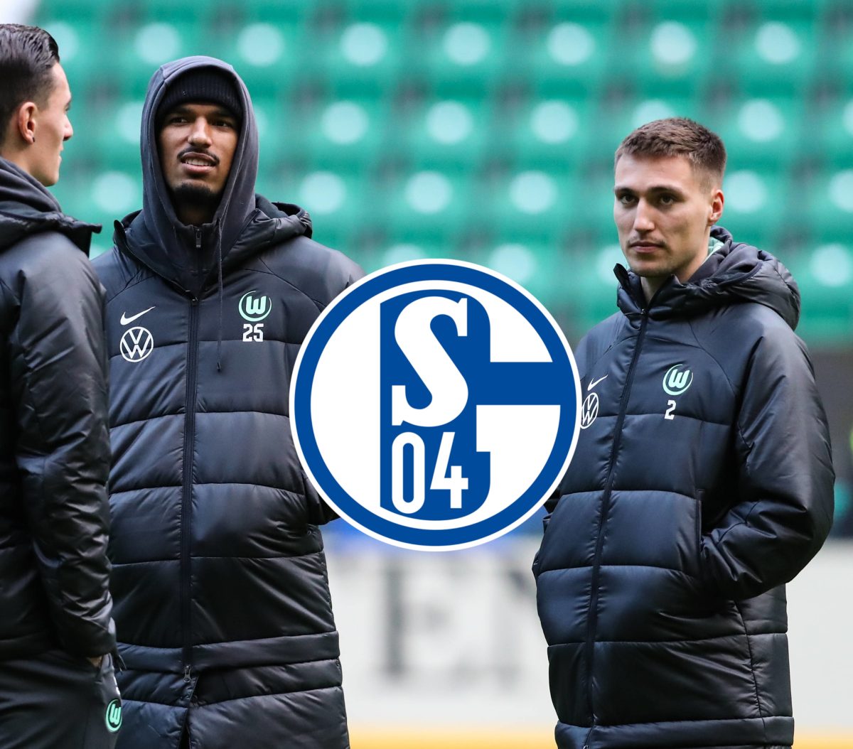 FC Schalke 04 Fischer