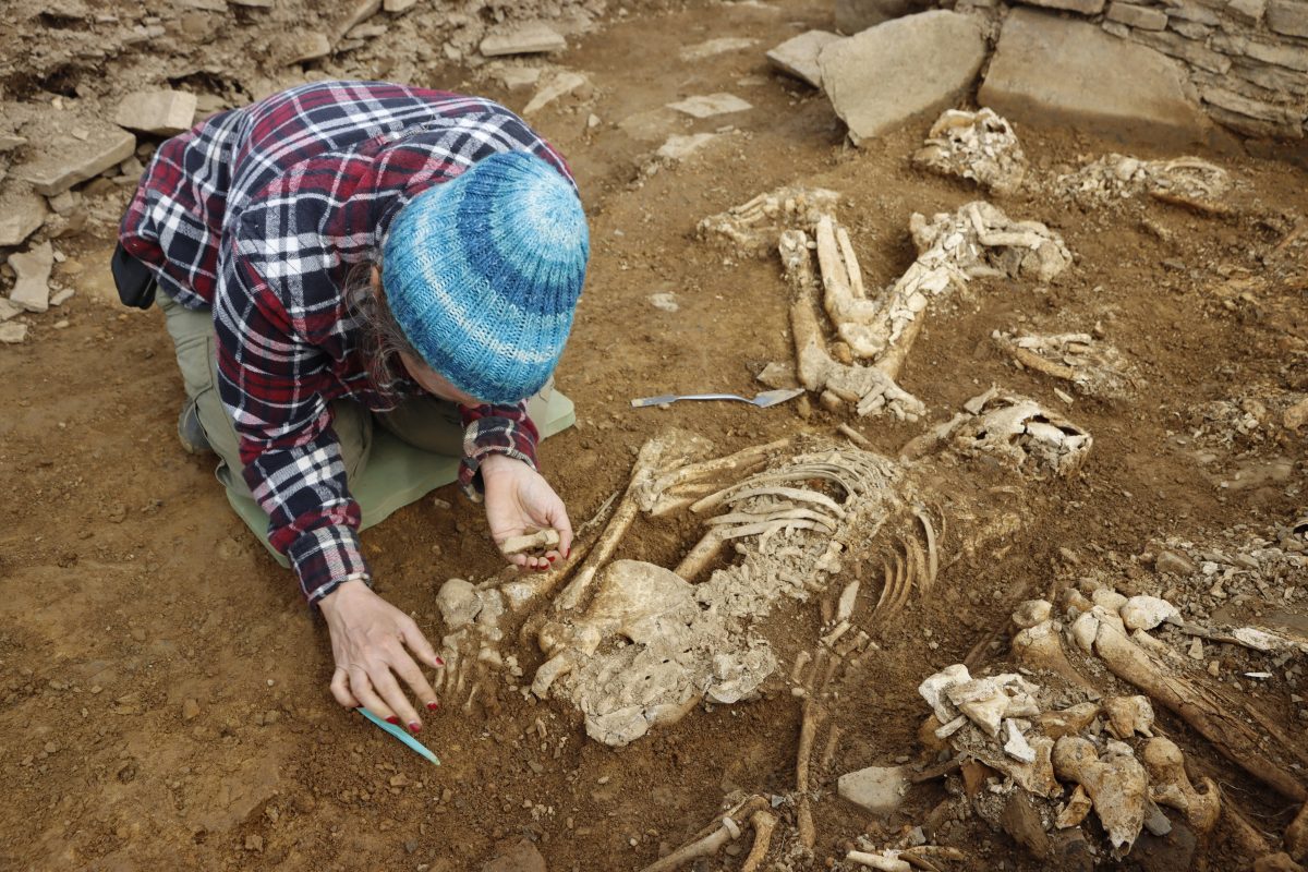 Archäologen haben bei Grabungen in Deutschland einen interessanten Fund gemacht.