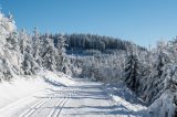 Winterurlaub in Deutschland: Es gibt viele beliebte Reiseziele