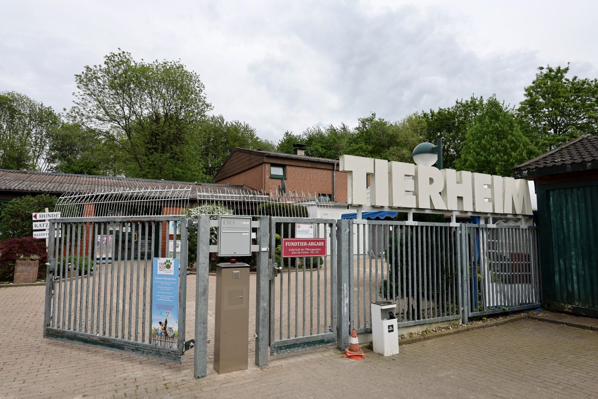 Vor dem Tierheim Bochum wurde ein Karton abgestellt.