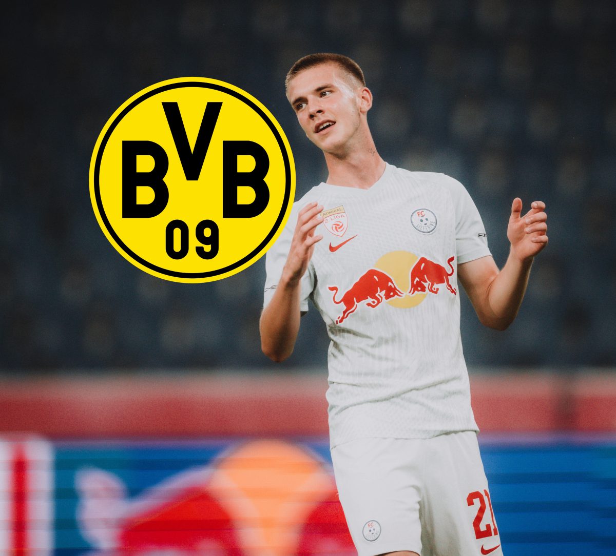 Oliver Lukic Borussia Dortmund