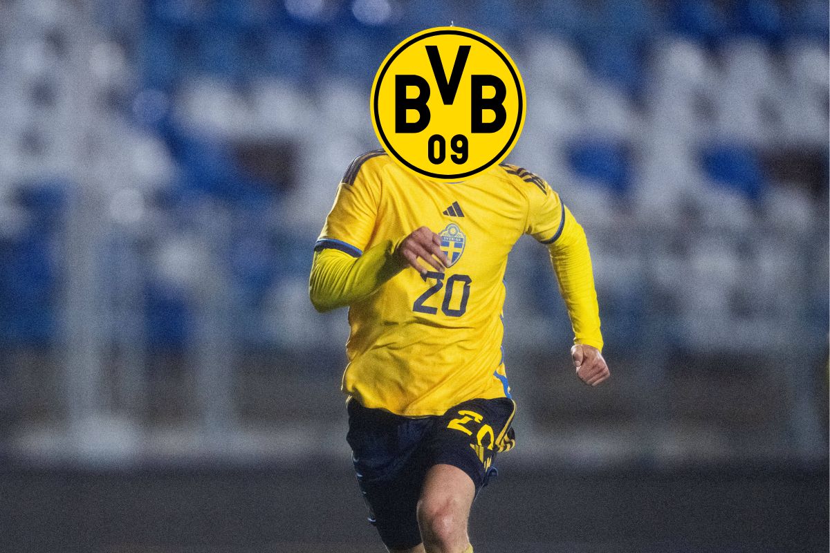 Borussia Dortmund BVB Bergvall