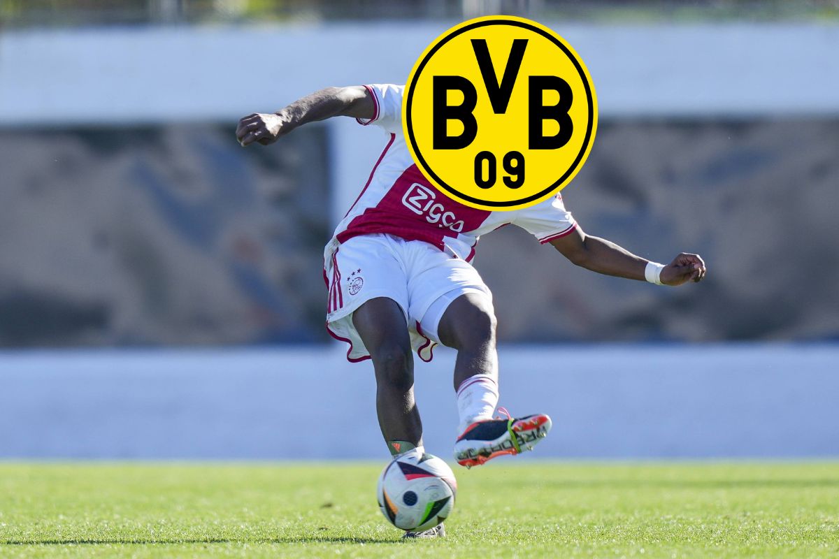 Borussia Dortmund Hato BVB