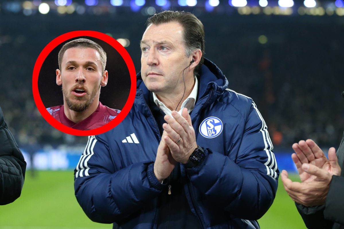 FC Schalke 04 Churlinov Wilmots