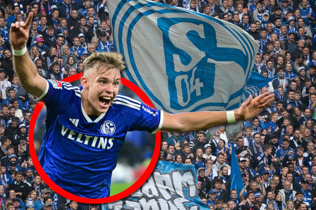 Keke Topp macht die Fans des FC Schalke 04 verrückt.