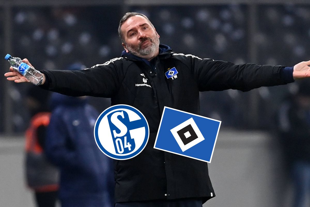 FC Schalke 04: HSV mit großen Sorgen! Gegen S04 droht nächster bitterer Ausfall