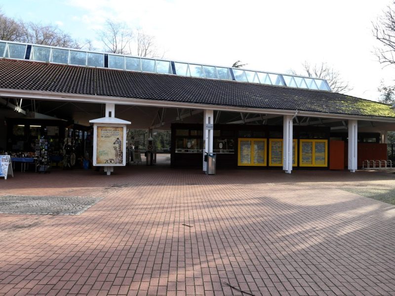 Zoo Dortmund muss Besucher-Liebling töten – und verfüttert ihn