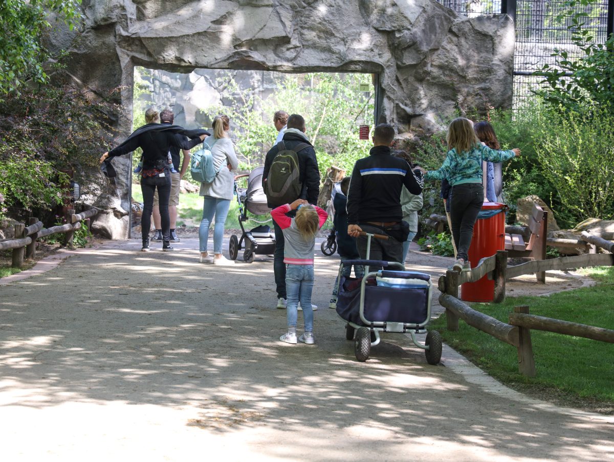 Dieser Zoo in NRW verkÃ¼ndet eine lange ersehnter Nachricht.